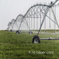 Irrigation à pivot central de 60 m de portée